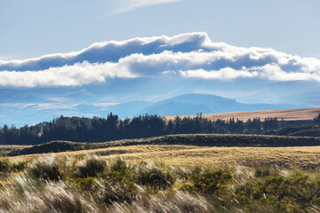 Landscapes in Ecuador