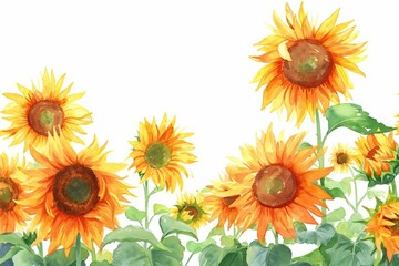 Watercolor Sunflowers in Full Bloom. Bright sunflowers painted in watercolor style, evoking a warm, sunny day."