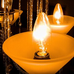 Light Bulbs