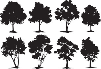 Set Trees. Hand drawn vector illustration
