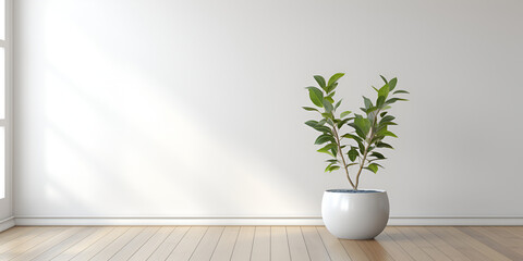 White wall mockup plant and wood floor

