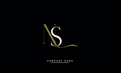 NS, SN, N, S Abstract Letters Logo Monogram
