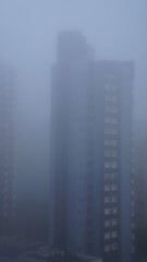 Fototapeta na wymiar foggy morning