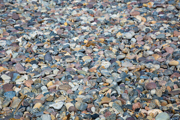 Kieselstrand an der Ostsee