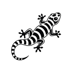 Gecko graphic vector EPS