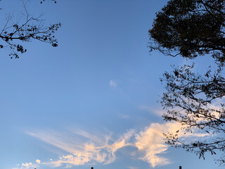 Whispering Clouds on Blue Sky