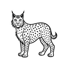 Lynx graphic vector EPS
