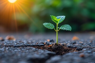 Growing Green: A Sunny Start for the Month of May Generative AI