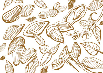 Isolated vector collection of almond on a white background. Hand drawn almonds set: Branches with leaves and immature fruit. Blossoming almond. Nuts. Vintage