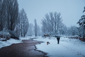 Man with umbrella walking his dog in the snow next to a river in a winter landscape with a forest in the background