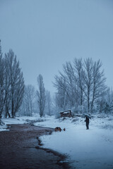 Man walking a dog on the bank of a river in a snowy landscape with a forest in the background