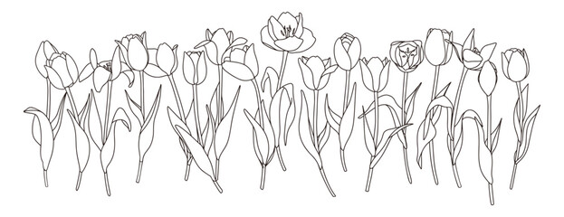 チューリップの線画イラストセット、バリエーション