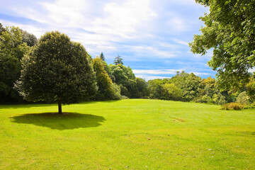 Picnic area with green grass, trees and woodland on background - concept image with copy space
