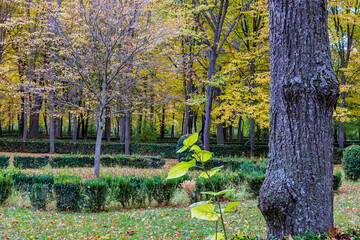 Autumn time at The Island Garden. AranjuezMadrid. Spain. Europe.