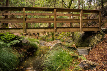 Landscape in forest with wooden bridge and small stream in fall season, Mortágua PORTUGAL