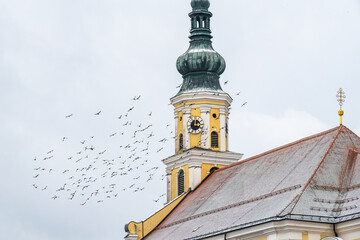 Vogelschwarm um Kirchturm in Schärding am Inn