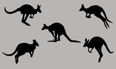 set of kangaroo silhouettes