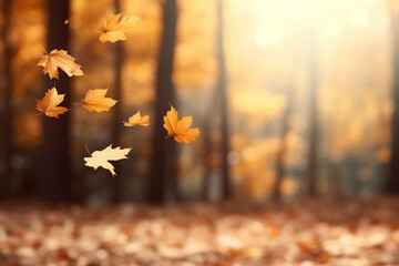 Golden autumn, falling yellow fall leaves, nature park with foliage, autumn background with copy space