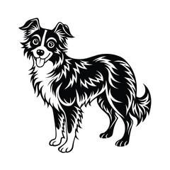 Border�Collie graphic vector EPS