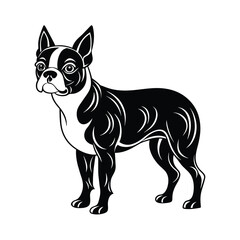 Boston�Terrier graphic vector EPS