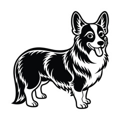 Fototapeta premium Corgi graphic vector EPS