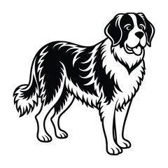 St.�Bernard graphic vector EPS