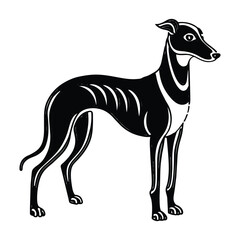 Whippet graphic vector EPS