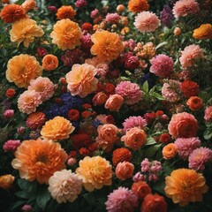 florals and botanicals
