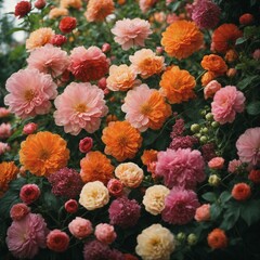 Obraz na płótnie Canvas florals and botanicals 