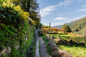 Fototapeta na wymiar view of the Geres valley near Sistelo, Viana do Castelo, Portugal