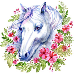 White Horse in floral plant spring frame, circle, wreath