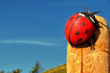 A wooden sculpture of a ladybug.