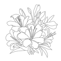 alstroemeria flower coloring book