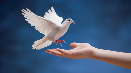 Peaceful White Dove Descending onto a Human Hand Against Blue Sky