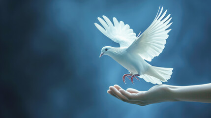 Peaceful White Dove Descending onto a Human Hand Against Blue Sky