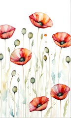 Watercolor poppy floral pattern.