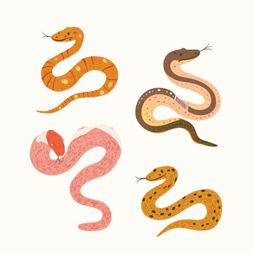 Clipart de cobras nas cores rosa, bege e laranja isolado no fundo branco