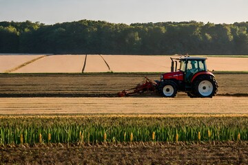 Fototapeta premium A farmer driving a tractor in a field