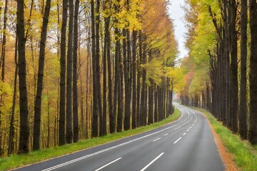 Fototapeta premium a row of trees on either side,