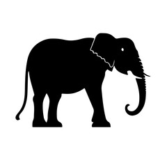 elephant isolated on white background