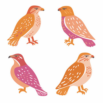 Clipart de falcão nas cores rosa, bege e laranja isolado no fundo branco