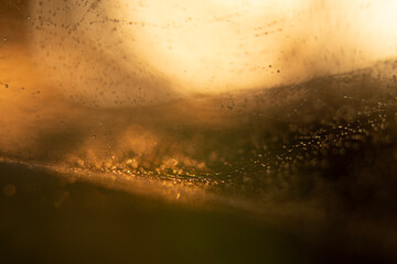 Photographs of dew drops using a macro lens show the mist's water droplets forming a long arc,...