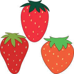 Three red yummy delicious vibrant strawberries on a white background. Fun 2D illustrations vector image.