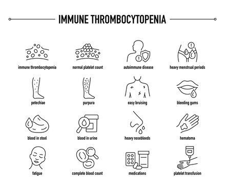 Immune Thrombocytopenia symptoms, diagnostic and treatment vector icons. Line editable medical icons.