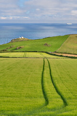 View across fields to the sea at Prawle Point on the South West Coast Path, Devon, UK