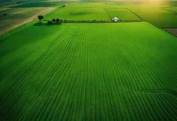 Crédence de cuisine en verre imprimé Vert Aerial view of cultivated agricultural farming land with vivid green color