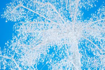 箱根のクリスマスのイルミネーション