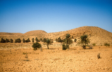 Grand Erg oriental, désert du Sahara, Tunisie