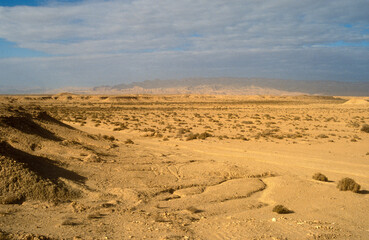 Grand Erg oriental, désert du Sahara, Tunisie