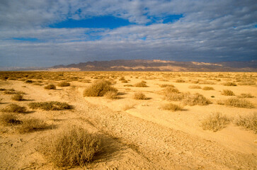 Grand Erg oriental, désert du Sahara, Tunisie